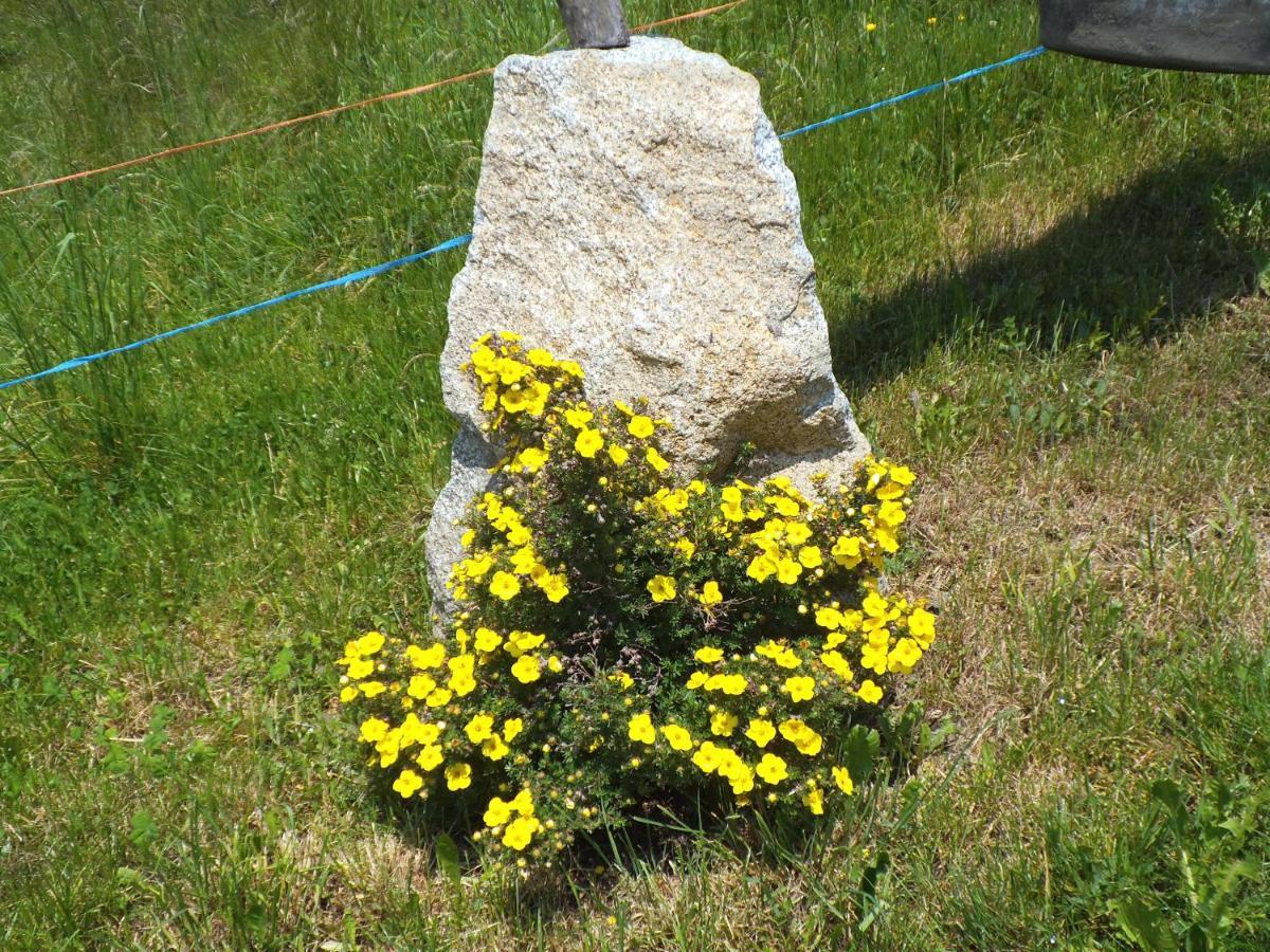 Steierhof Lägenhet Velturno Exteriör bild
